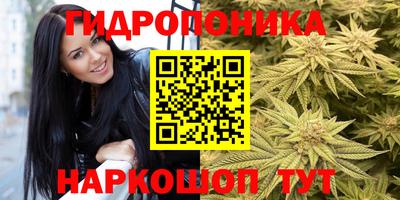 мяу мяу мука Коммунар